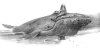 800px-Alan_Lee_-_Uin.jpg