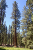 upload_2016-9-13_14-28-39.png