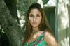 upload_2017-4-12_15-28-44.jpeg