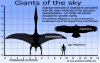 argentavis-vs-quetzalcoatlus-vs-meganeura.jpg