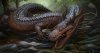 Tale-of-wingless-dragon.jpg