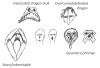 2021-08-14, Dragon-Helm of Dor-Lomin ideas.png