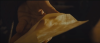 1655141208479.png