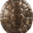 zedturtle